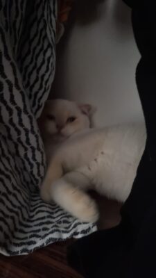 c730fb87-e677-44b5-be81-10cc1c09ac93