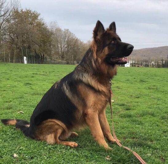 {"sha1":"e77a7363999ac7d9d54d0fea174f75cf7dacb391","ext":"jpg"}