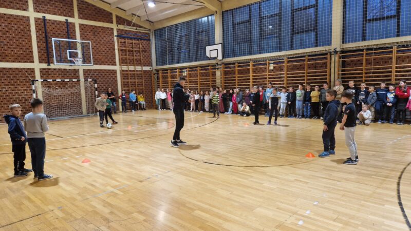 inbound357241503799191463