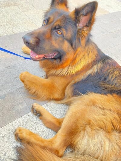 SAVE_20231227_145430