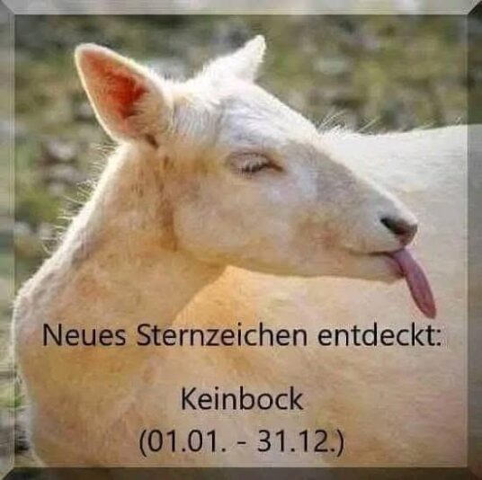 inbound7549749125623748588