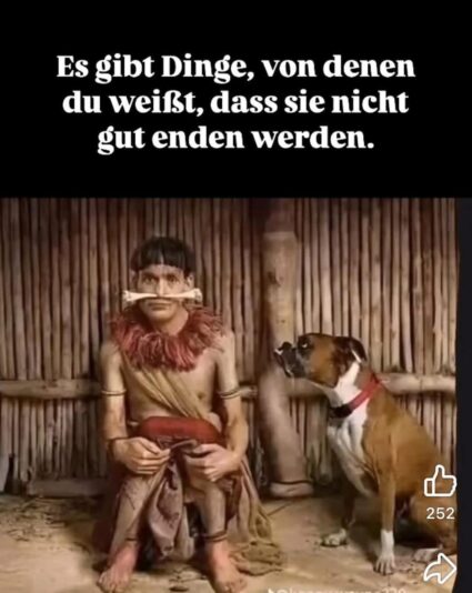 inbound4740798750366547987