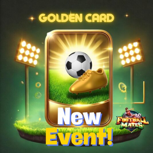 IMG-20241210-WA0009[1]