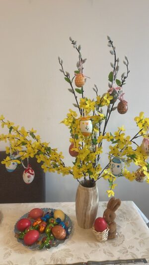 8df6f44e-dac0-4d0f-add1-0420b5253758