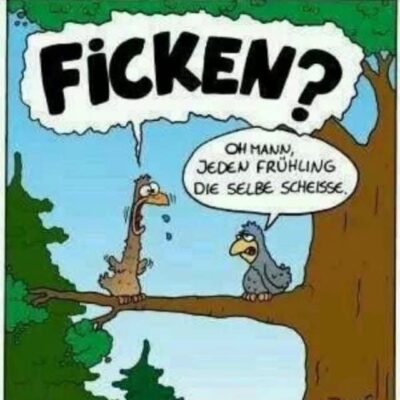 inbound5264811636455175158