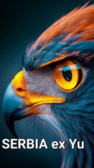 480810141_2034269427048320_3769141168810829835_n