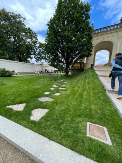 630702cf-4d94-41ca-be53-cac7ac132977