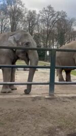 video-766d0f0df0cb327c8d1a96001199ba0f-V