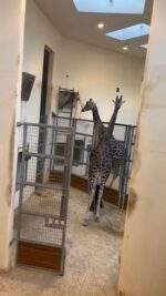 video-450faf7bbd7db7a79d0bc26ff6404918-V