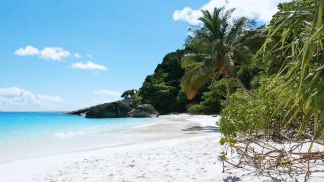 135860-764362114_tiny