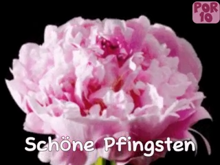 inbound7391815696876006352