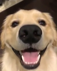 inbound2633767194314279662