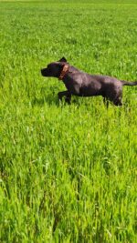 0-02-05-52e2904f4e585851a3b40a87fe4af7f6c6584f5e0032685d472fd05c9f516b57_2b71754cc849cd52