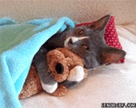 inbound8616458399819243562