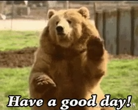 inbound8633428515285257048