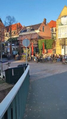 video-0d05ae68c54841a4ae115919e6650dc9-V