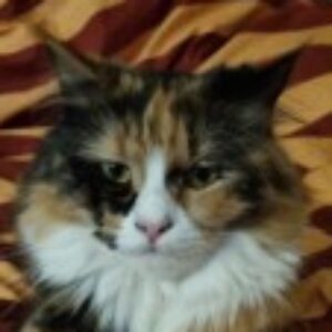 Profile photo of Micha1301