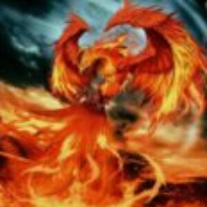 Profile photo of TORUS